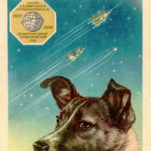 Laika the space dog postcard