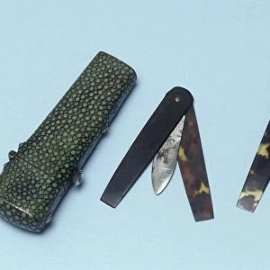 Two lancets and shagreen case, circa 1790 C017 / 3561