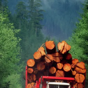 Logging truck loaded with logs