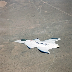 McDonell Douglas X-36 aircraft C017 / 7404