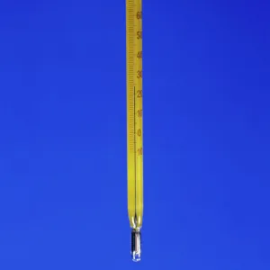 Mercury thermometer