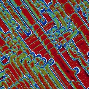 Microchip circuitry, SEM
