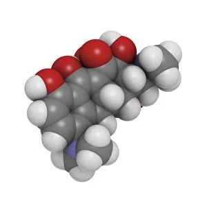 Minocycline antibiotic molecule