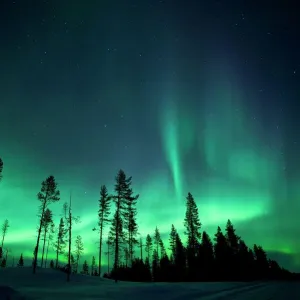 Northern lights