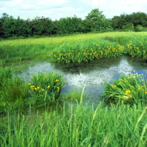 June Gallery: 28 Jun 2002