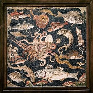 Roman seafood mosaic