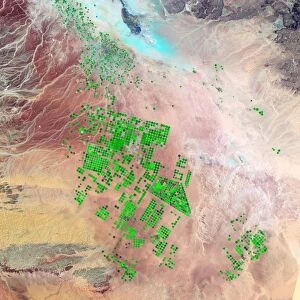 Saudi Arabia agriculture, 2000