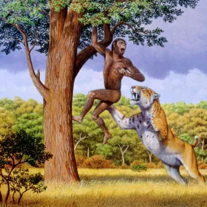 Scimitar cat attacking a hominid