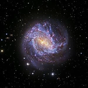 Southern Pinwheel Galaxy, Hubble image C017 / 3727