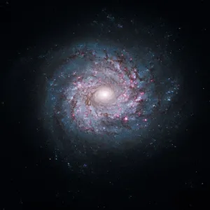 Spiral galaxy, HST image C013 / 5098