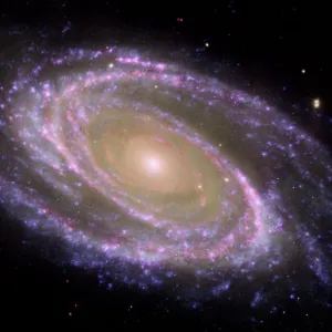 Spiral galaxy M81, composite image