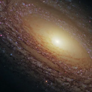 Spiral galaxy NGC 2841, HST image