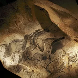 Stone-age cave paintings, Chauvet, France