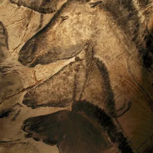 Popular Themes Collection: Cave Paintings