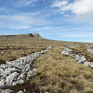 Stone runs, Falkland Islands