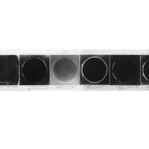 Total solar eclipse, 1860