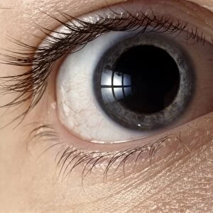 Front view of human eye with dilated pupil