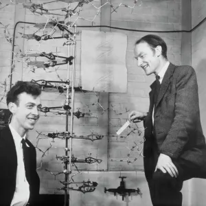 Watson and Crick with their DNA model