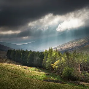 England, Northumberland National Park, Harthope Valley