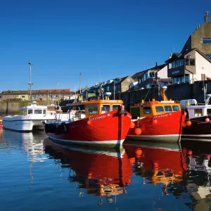 England, Northumberland, Seahouses. Boats moored in the harbour at Seahouses