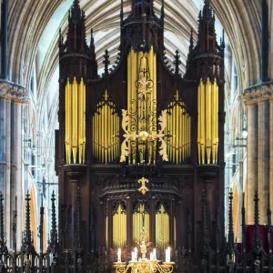 Lincoln Cathedral Print