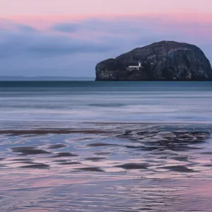 December Gallery: 20 Dec 2015