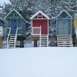 February Gallery: 5 Feb 2012