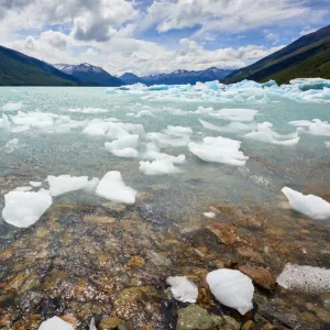 Blocks of ice float in one of the affluents of Lago Argentino, next to Perito Moreno Glacier