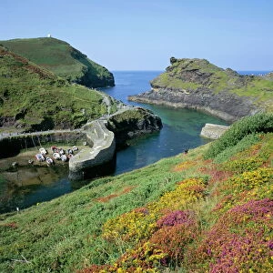 Cornwall Framed Print Collection: Boscastle
