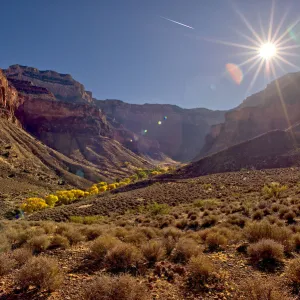 Bright Angel Canyon viewed north of the south rim with bright yellow trees in the