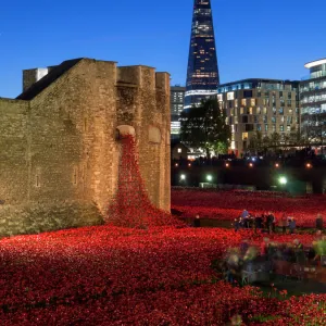 Ceramic poppies forming the installation Blood Swept Lands and Seas of Red to remember the Dead of the First World War, Tower of London at dusk, London, England, United Kingdom, Europe