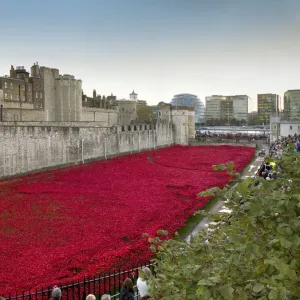 Ceramic poppies forming the installation Blood Swept Lands and Seas of Red to remember the Dead of the First World War, Tower of London, London, England, United Kingdom, Europe