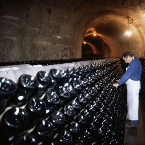 Champagne wine cellar, Reims, Champagne, Ardennes, France, Europe