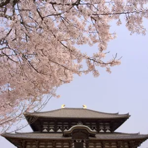 Japan Heritage Sites Mouse Mat Collection: Historic Monuments of Ancient Nara