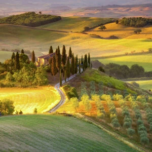 Classic Tuscan landscape at sunrise, Tuscany, Italy, Europe