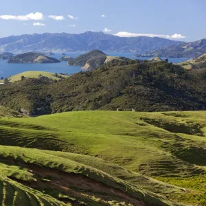 Coastline looking north towards Coromandel and Hauraki Gulf, Coromandel Peninsula, Waikato, North Island, New Zealand, Pacific