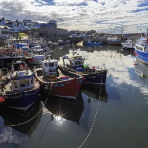 Colourful fishing boats in harbour and village beyond on a sunny summer evening, Seahouses