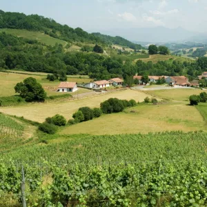 Countryside near St. Jean Pied de Port, Basque country, Pyrenees-Atlantiques