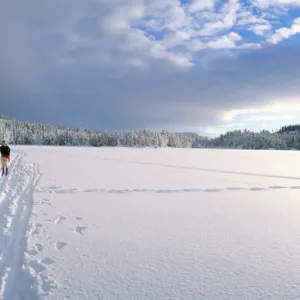 Cross country skiing