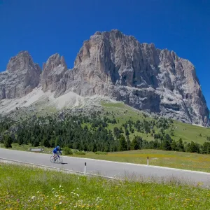 Trento