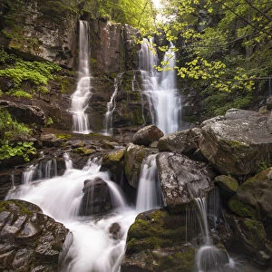 Dardagna waterfalls in the wood, flowing between rocks, Emilia Romagna, Italy, Europe