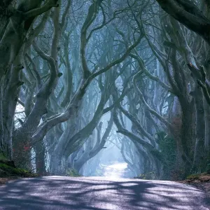 Ballymoney