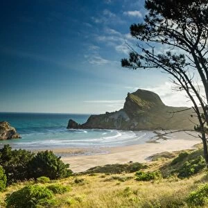 Deliverance Cove, Castlepoint, Wellington Region, North Island, New Zealand, Pacific