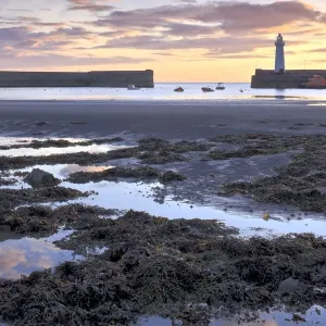 Donaghadee Harbour Print Donaghadee Harbour Print