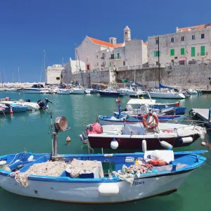 Fishing boats at the harbour, old town with cathedral, Giovinazzo, Bari district