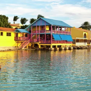 North America Photo Mug Collection: Bonaire