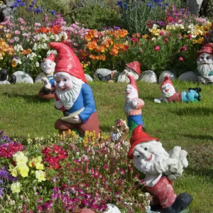 Gnomes, Port Stanley, Falkland Islands, South America