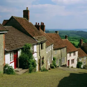 Dorset Collection: Shaftesbury