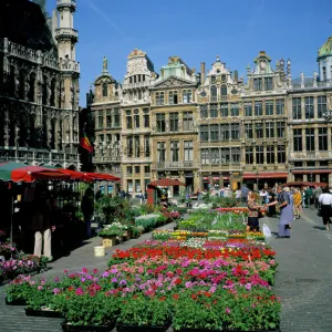 Heritage Sites Poster Print Collection: La Grand-Place, Brussels