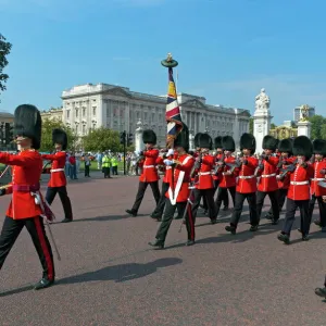 Grenadier Guards march to Wellington Barracks after Changing the Guard ceremony, London, England, United Kingdom, Europe